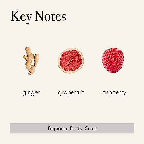 LAFCO New York Classic Reed Diffuser Champagne