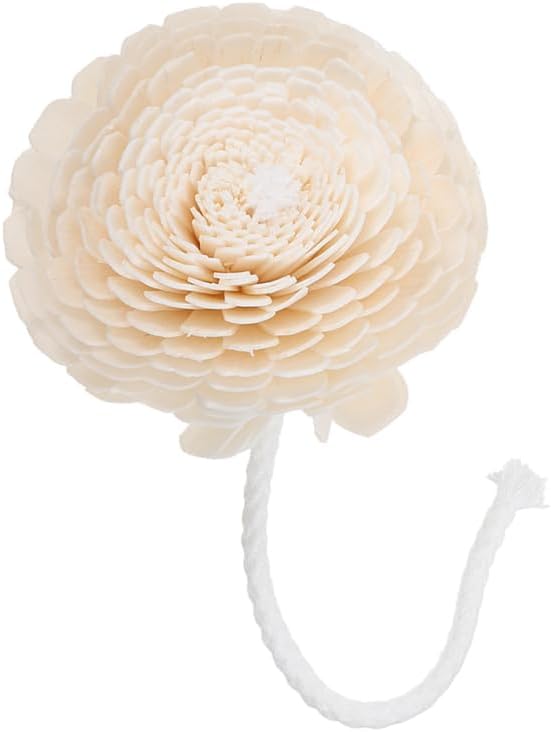 NOLITOY Diffuser with Mixed Sola Flowers and Cotton Reed