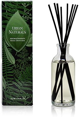 Urban Naturals Coconut Breeze Reed Diffuser Set