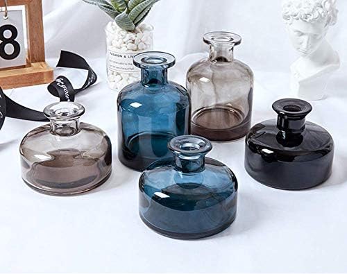1Pcs Glass Aromatherapy Diffuser Bottle Blue