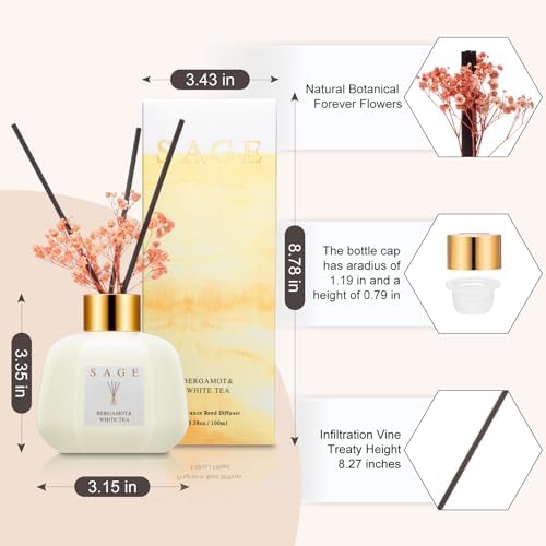 Sage Hotel Reed Diffuser - Bergamot White Tea Scent
