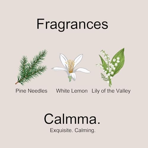 Aroma Scented Oil Diffuser Set with Refills and Sticks