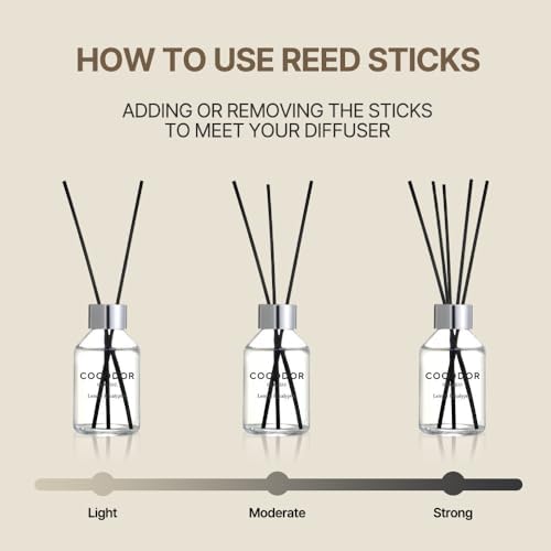 Cocodor April Breeze Reed Diffuser Set 34oz