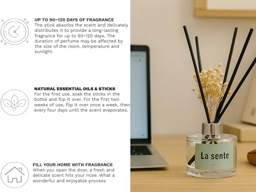 Citrus Reed Diffuser Set with Glass Bottle and Black Reeds