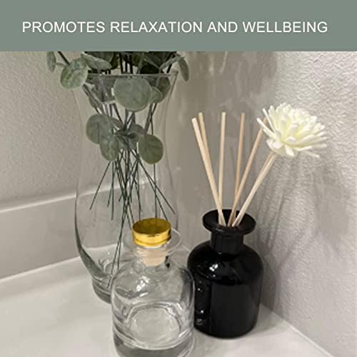 HOSSIAN 10 Pack Reed Diffuser Sticks Set