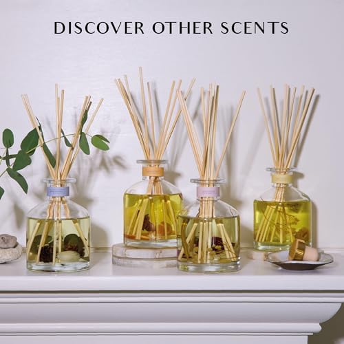 Benevolent LA Reed Diffuser Set with Orange Cedarwood Clove Scent