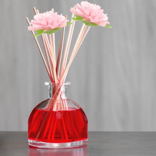 FOMIYES 5pcs Reed Diffuser Sticks Set