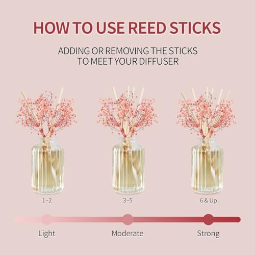 Sandalwood Rose Reed Diffuser Set with Preserved Flowers