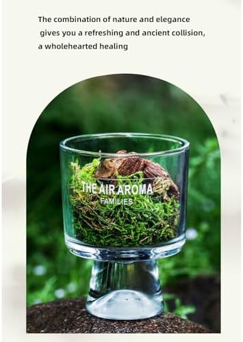 Moss and Pine Aromatherapy Diffuser with Jasmine Scent