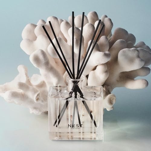 NEST New York Reed Diffuser Set - Ocean Mist Sea Salt
