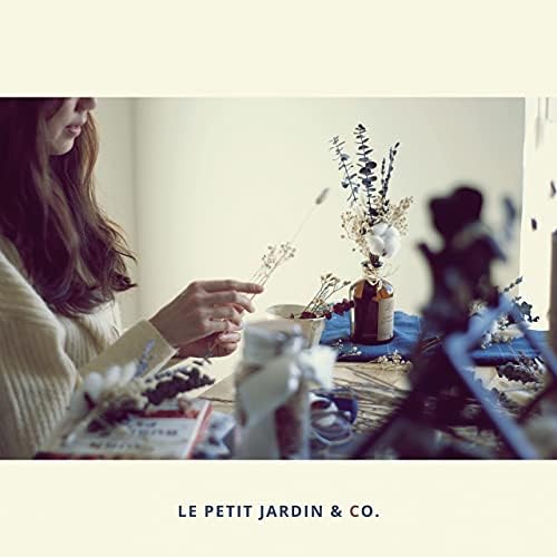 Le Petit Jardin Co Reed Diffuser Set with Real Dried Flowers