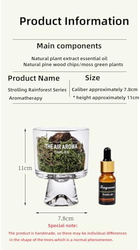 Moss and Pine Aromatherapy Diffuser with Jasmine Scent