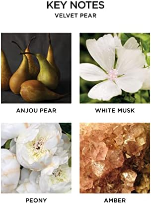 NEST Fragrances Velvet Pear Reed Diffuser Duo Set