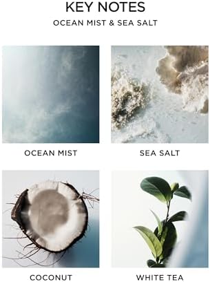 NEST New York Reed Diffuser Set - Ocean Mist Sea Salt