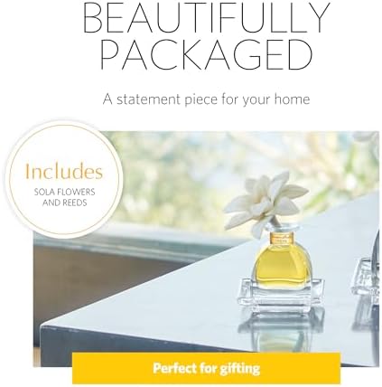 AGRARIA PetiteEssence Reed Diffuser Set - Natural Scented Oil Perfume Gift