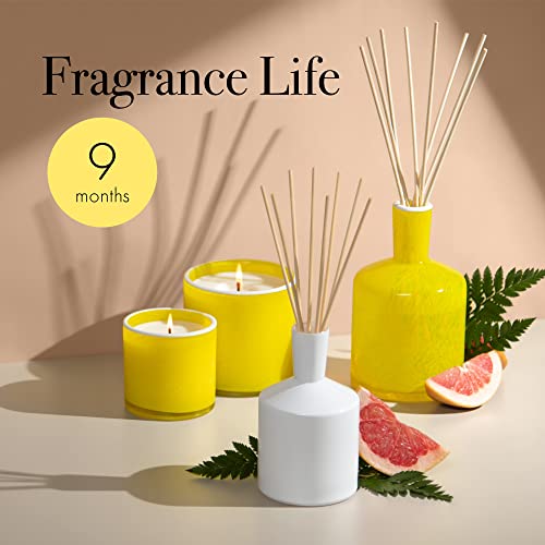 LAFCO New York Signature Reed Diffuser White Grapefruit 15 oz