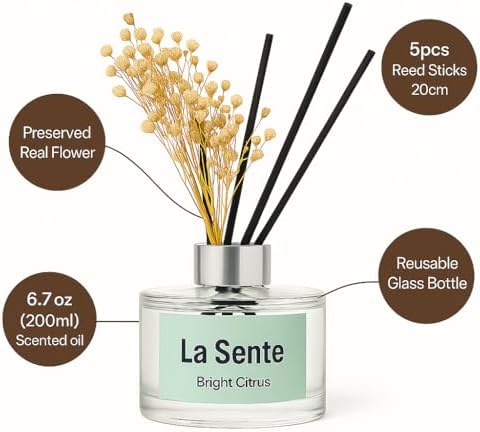 Citrus Reed Diffuser Set with Glass Bottle and Black Reeds
