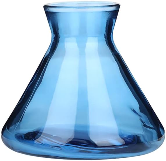 WAIT FLY Creative Glass Diffuser Bottles 7 OZ Blue