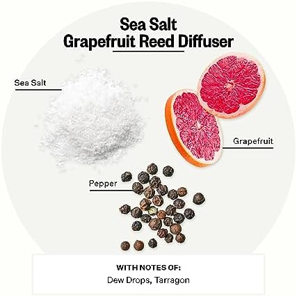 Apotheke Sea Salt Grapefruit Reed Diffuser 67 Fl Oz