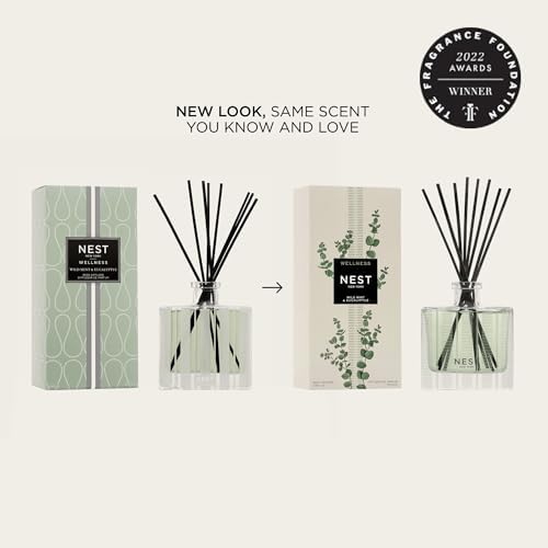 NEST New York Wild Mint Eucalyptus Bundle