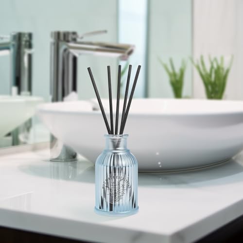 Wild Mint Eucalyptus Reed Diffuser Set 2 Pack