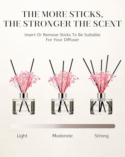 MSENSE Reed Diffuser Set with 7 Sticks 1
