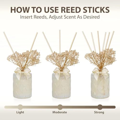 UCC Premium Reed Diffuser Set with Preserved Flower Sticks