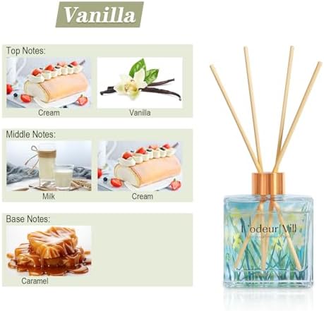Lodeur Vill Vanilla Reed Diffuser Set 100ML