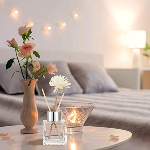 30 Piece Glass Diffuser Set with Silver Caps