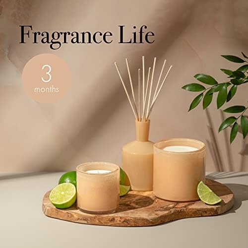 LAFCO New York Classic Reed Diffuser Paloma Melon 6 oz