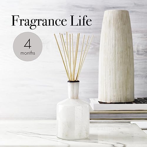 LAFCO New York Reed Diffuser Refill - Champagne 84 oz