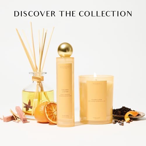 Benevolent LA Reed Diffuser Set with Orange Cedarwood Clove Scent