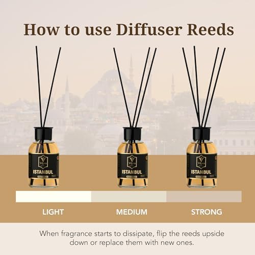 Vilara Reed Diffuser Set Pack of 3 - Mango Oud Istanbul