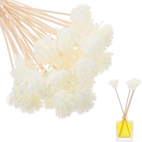 Beavorty 30pcs Rattan Diffuser Sticks Essential Oil Refill Set