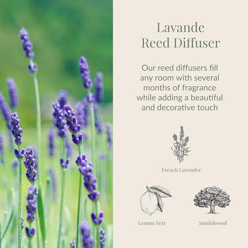 Archipelago Botanicals Lavande Reed Diffuser Set