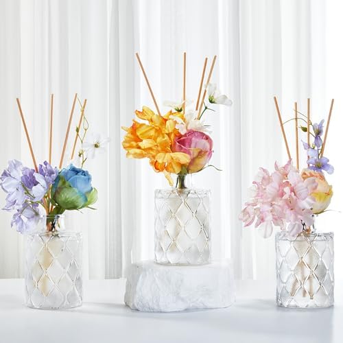 Chloefu Lan Amber Reed Diffuser Set 67 Oz