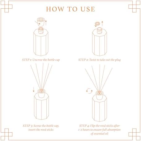 Aeviva Citrus Reed Diffuser Set 200ml Home Fragrance