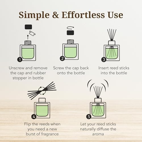 Diffuser Set with Sticks - Woody Aromatics for Home