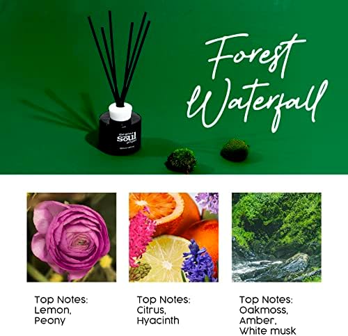 THE GOOD SOUL PROJECT Reed Diffuser Set with Sticks and Scented Oil