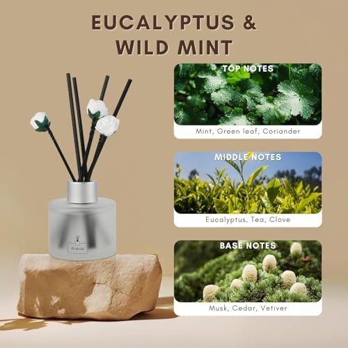 Brakula Reed Diffuser Set Eucalyptus Wild Mint
