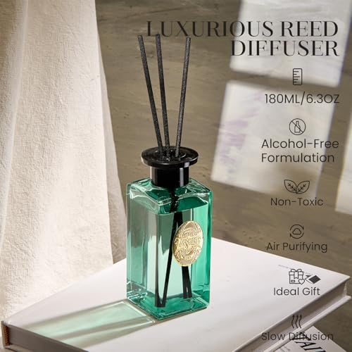 MSENSE 63 Oz Large Reed Diffuser Set