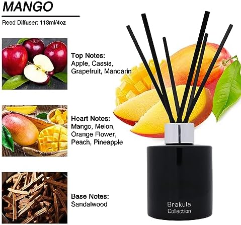 Brakula Reed Diffuser Set - Mango Scented 4 Fl Oz 6 Sticks