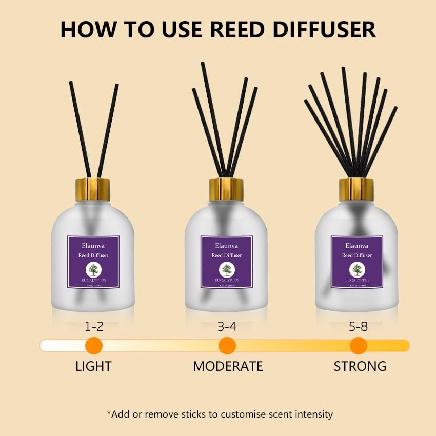 Eucalyptus Reed Diffuser Set with 8 Sticks