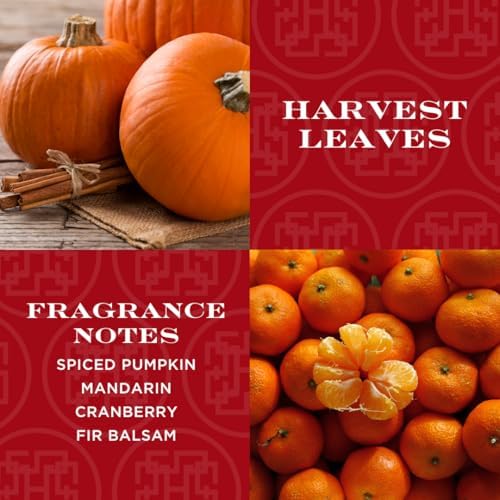 HomeWorx by SLATKIN CO Harvest Leaves Reed Diffuser Set