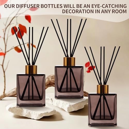 6 Pack Perfume Reed Diffuser Bottle Set with Black Sticks