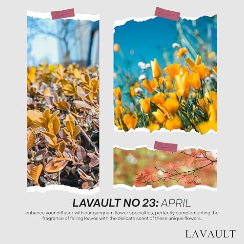 Lavault Reed Diffuser - April Aroma Fragrance Set