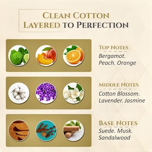 Premium Reed Diffuser Set - Luxury Ceramic Base Refillable Fragrance