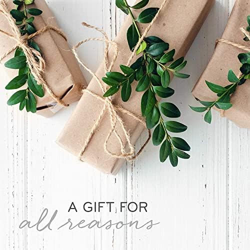 Thymes Frasier Fir Reed Diffuser Set - 4 Fl Oz Gold