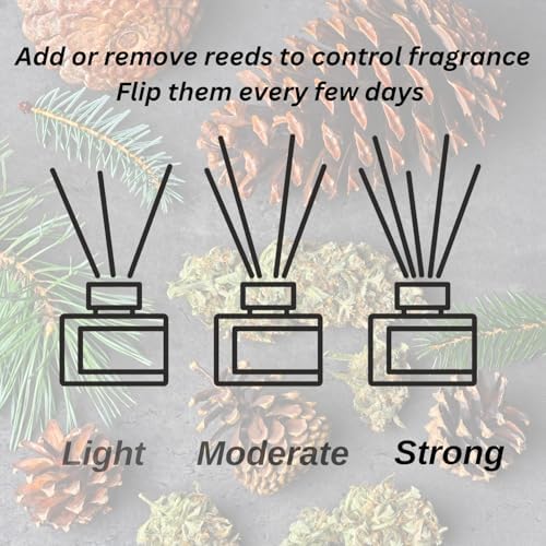 JULIPERL Reed Diffuser Set - Jasmine Cedar Peach