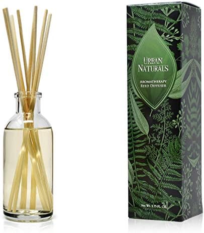 Urban Naturals Coconut Breeze Reed Diffuser Set